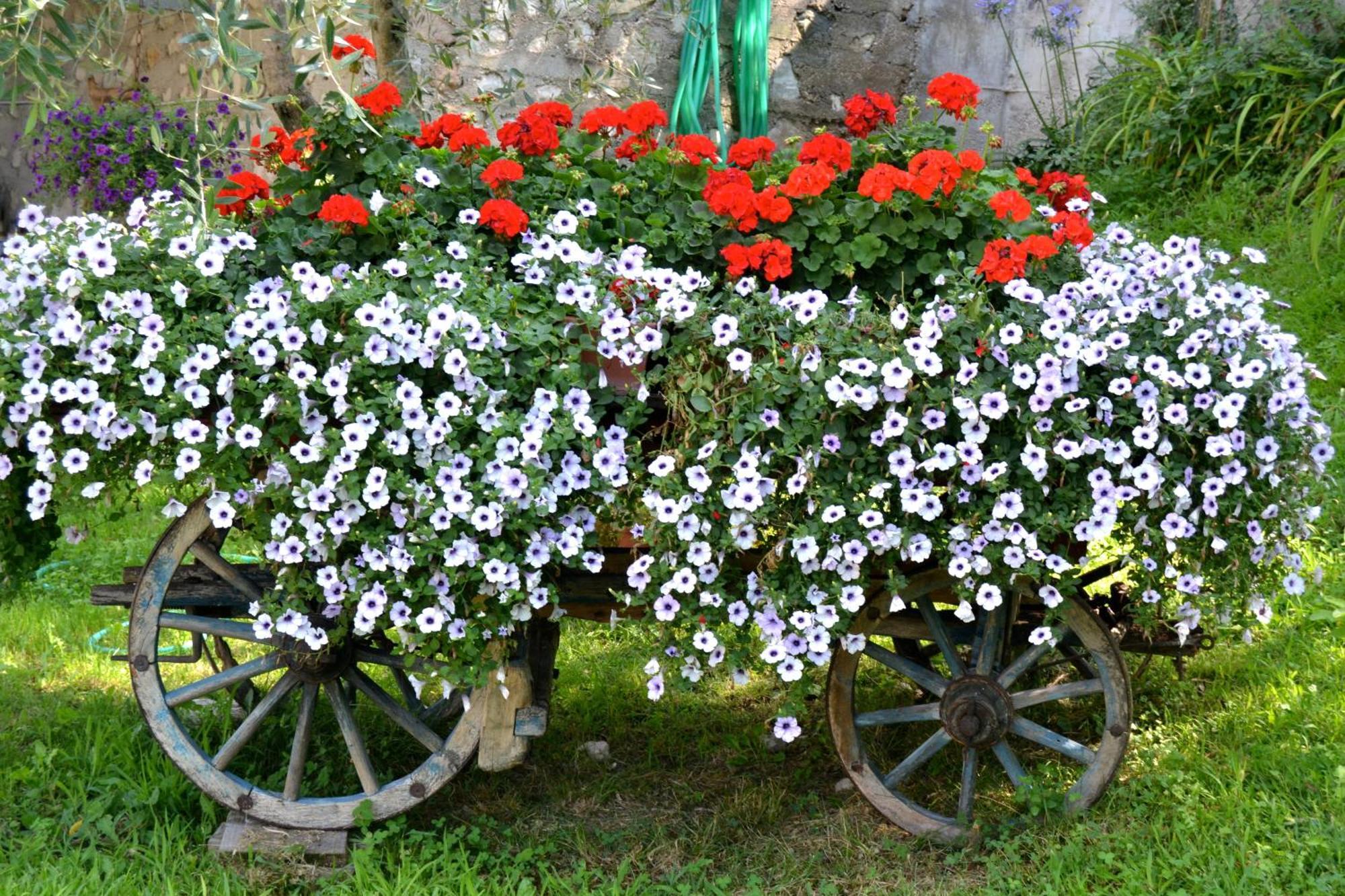 Appartamenti La Perla Malcesine Ngoại thất bức ảnh